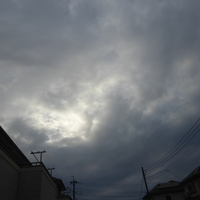 今朝も蒸し暑くて湿度が９１％😱💦