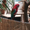 先週の木曜日に学校の行事で動物園へ行きました