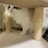 今日は追いかけっことかくれんぼ