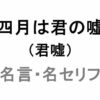 アニメ「四月は君の嘘（君嘘）」の名言・名セリフ