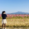 太陽光用地活用！！荒廃地（遊休農地の見分け方）