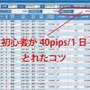 少額 FX 初心者が1日で40pips取れるようになったコツ