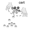 53 cert, cern, cret 「ふるいにかける、識別する」 (L.cernere) 