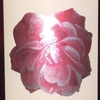 Petaloso Rosato Tenuta San Marcello 2017