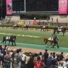 東京競馬4R パドック直前予想 ◎13 ビッグランチ