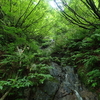 海の日のヤマ熱／五頭の沢と杉滝岩