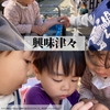 2024年4月9日 興味津々