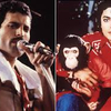 F・マーキュリーとM・ジャクソンの仲を裂いたバブルス。