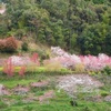 西川花祭り（１）