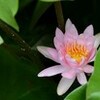 『生気溌剌』