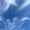 今日