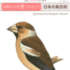 きょうは休日、七草の日。