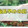 雑草がある程度片付いた庭は虫との闘い!噴霧器で対抗したい私の話