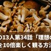 鎌倉殿の13人第34話「理想の結婚」を10倍楽しく観る方法