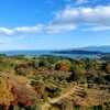 またまた離島～岡山県🍑前島～