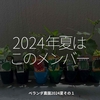 2395食目「2024年夏はこのメンバー」ベランダ農園2024夏その１