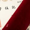 卒論なしで卒業できる通信制大学を徹底紹介【2025年最新版】