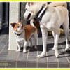 何にでも興味あり