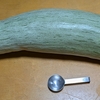 生還のカボチャ