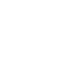 Revit and Dynamo bivo
