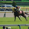 俺達のレーヴミストラル！　青葉賞勝利スペシャル