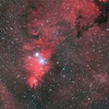 ＮＧＣ２２６４：いっかくじゅう座の散光星雲