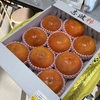 【道の駅 原鶴】今は柿が旬、お歳暮用にいかがですか？