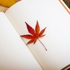 読んだ本の内容、覚えてる？記憶定着に最も効果的な方法はブログにあった