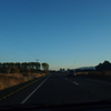 Road trip to Rotorua