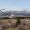 烏帽子、杵島、高、中、根子岳