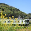 キハ110と菜の花と