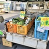 ファーム町田店の「トラック市」