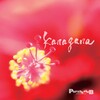 「沖縄の歌」のアルバム聴いて『私の好きな沖縄の歌』プレイリストを作ろうネ（＾３＾）＜３＞「kana gana」／パーシャクラブ