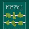 細胞の分子生物学（その５４）