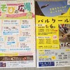 糸島では子供向けイベントも多いんです