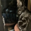 お残しは・・・