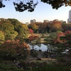 東京の紅葉の庭園②。文京区〜北区編。小石川植物園、六義園、旧古河庭園、旧渋沢庭園