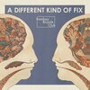 Bombay Bicycle Club『A Different Kind Of Fix』