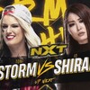 NXT 紫雷イオVS トニーストーム