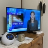 テレビの買い替え