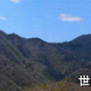 丹沢  世附 権現山  (城ｹ尾峠アプローチ偵察)