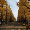 鶴見川渡る