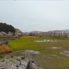 反町の森公園の桜～つくば市とその周辺の風景写真案内（１３６３） 