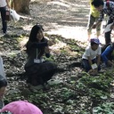 世界遺産 上賀茂神社の森 　 高瀬川薫子