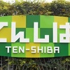 「天しば」は、おしゃれなお店のある芝生広場
