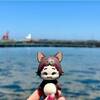 【済州島】旅行記｜GW4泊5日！大自然とグルメをゆるく楽しむ旅（2025.5）
