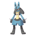 キノコ開発