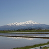 山形県酒田市(周辺)の観光めぐり詰め放題！！ゴールデンウィークの思い出を語りたい！