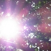 暑がりのわたし☆夏を乗り切る必須アイテム（おうち編）