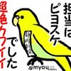 インコ式静岡新聞のさらなる進化を～夕刊廃止及び朝刊刷新のお知らせ